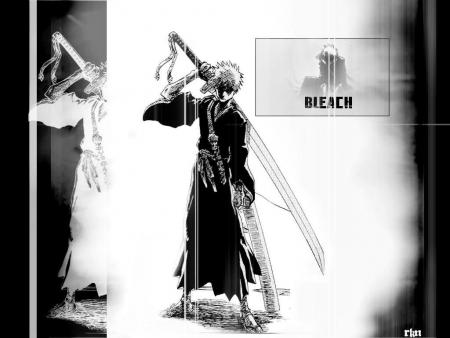 Bleach le manga (pas l'album de nirvana)
